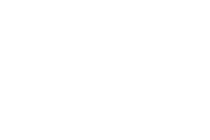 Duratex