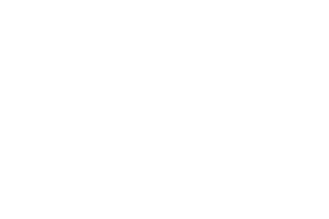 FGV